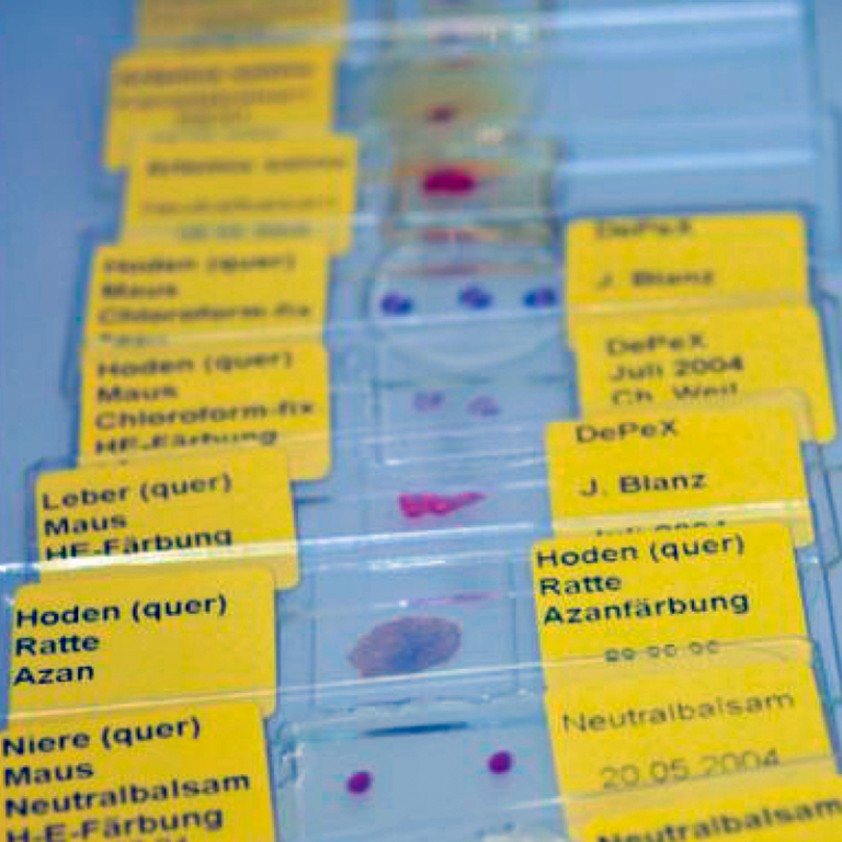 Etiketten für Labor Präparate