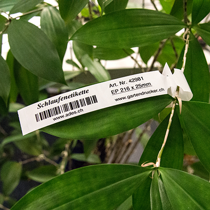 Etiketten für Pflanzen, Etiketten für Blumen